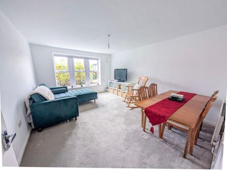 Mill Meadow Court, Norton, Stockton-on-Tees, Durham, TS20 2GA - Photo 4