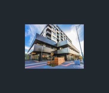 Contemporary Two-Bedroom Apartment in Prime Sunshine Location - Photo 6