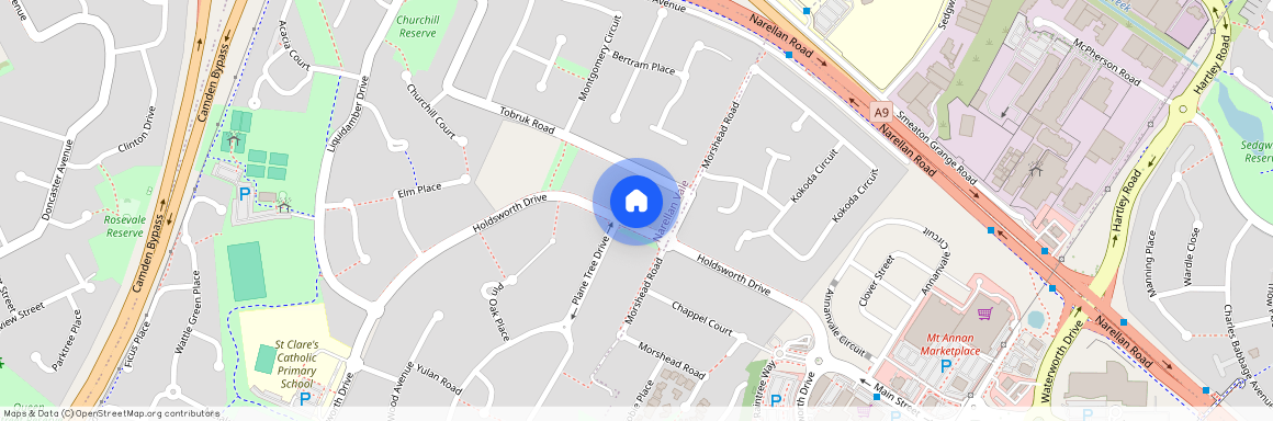 117 Holdsworth Drive, NSW 2567, Narellan