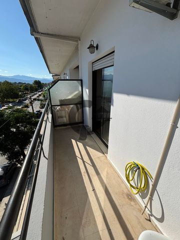 2534498 – Διαμέρισμα Προς Ενοικίαση, Ιωάννινα, 41 τ.μ., €350 - Φωτογραφία 3