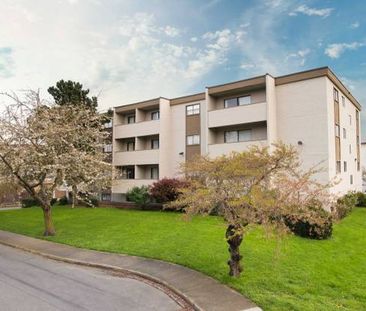 WALK TO TOWN, Quadra Village, large 1 bedroom - Photo 3