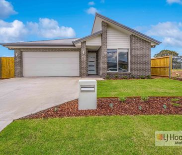 46 Cullami Street, Anambah, NSW 2320 - Photo 6