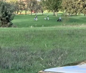 Golfplatznähe, barrierefreie 2 ZI mit schönen Ausblick, Parkplatz - Foto 6