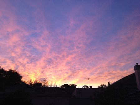 Canterbury - Photo 5