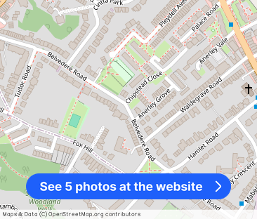 Belvedere Road, London, SE19 - Photo 1