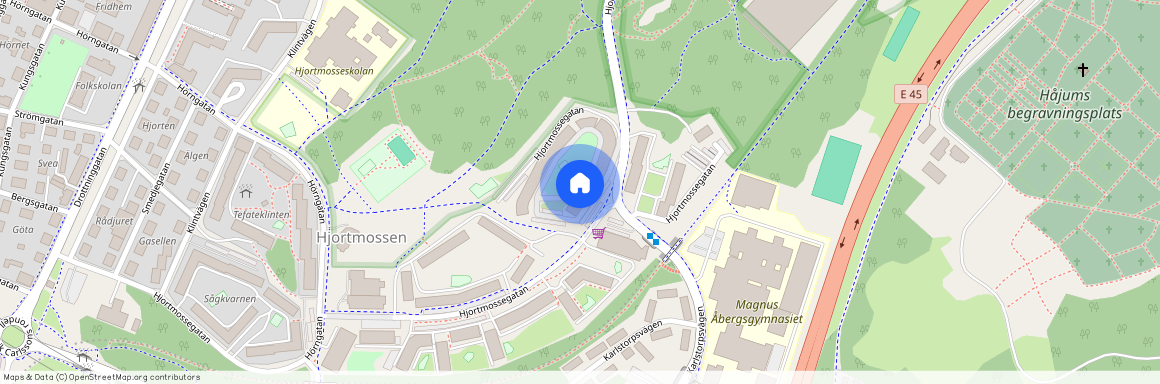 Hjortmossegatan 168, Trollhättan