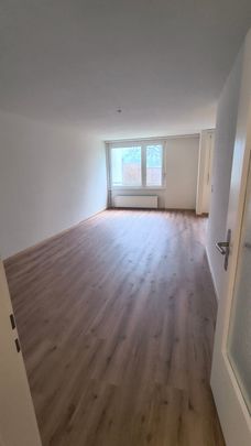 3.5 Zimmer, EG - Photo 1
