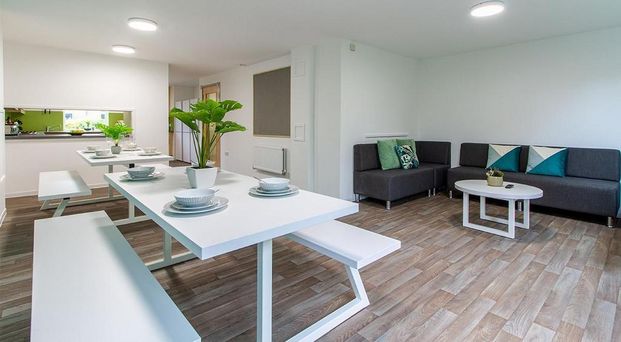 1 bedroom in a flat share to rent - Photo 1