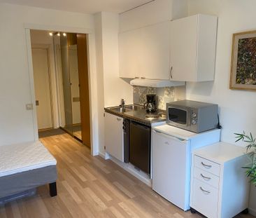 Gotlandsresan, Uppsala - Foto 3