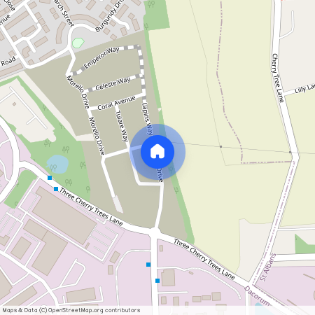 Morello Drive, Hemel Hempstead, HP2