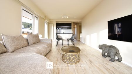 Superbe 2.5 p rénové et meublé, plein centre, rue du Prado - Foto 2