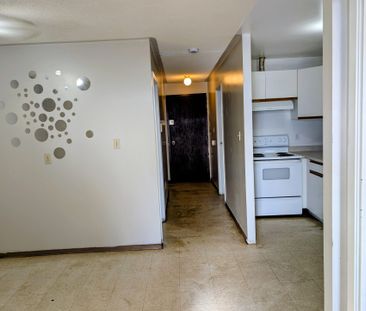 For Lease - 328 Aylmer Street Unit# 204, Peterborough, Ontario - Photo 6