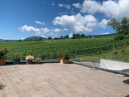 À louer – Magnifique appartement-terrasse de 4.5 pièces avec vue panoramique – Chez-le-Bart (NE) - Foto 1