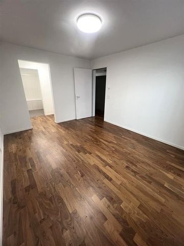 "In the heart of Dietikon!" - Photo 4