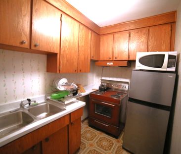 For Lease - 46 Grovetree Road Unit# Walkout Basement, Toronto, Ontario - Photo 4