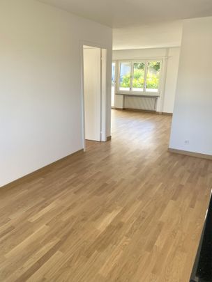 Frisch sanierte 3.5 Zimmer Wohnung mit Blick ins Grüne - Photo 1