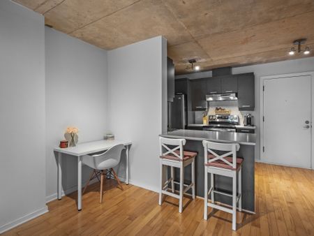 Condo for rent, Montréal (Ville-Marie) - Photo 4