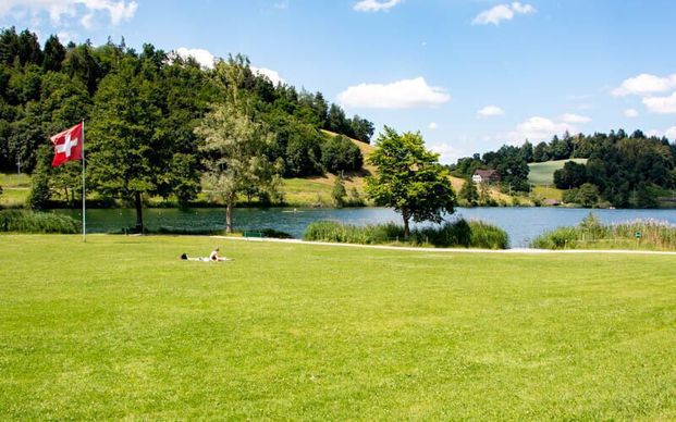 APPARTEMENT DE 3 PIÈCES À LUCERNE, MEUBLÉ, TEMPORAIRE - Photo 1