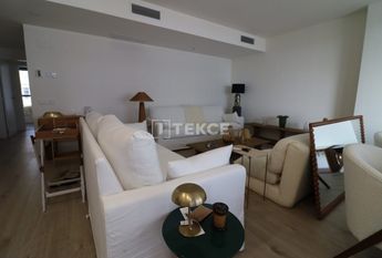 Badalona, La Morera, Barcelona, Catalonia 08918