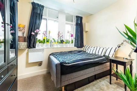 Room in a Shared Flat, London, WC1X - Photo 4
