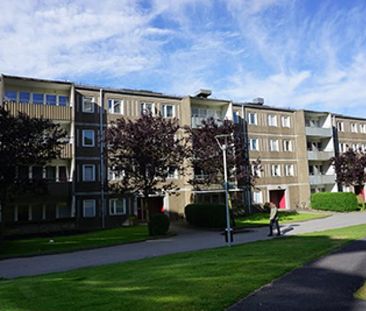 Blendas Gata 55 - Photo 1