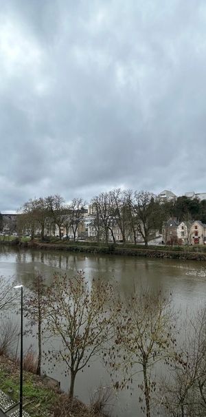 Location Appartement 3 pièces 74m² LAVAL 53000 - Photo 1