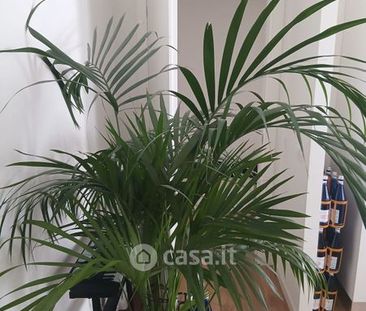 Trilocale in Affitto in Via Privata Rezia a Milano - Photo 6