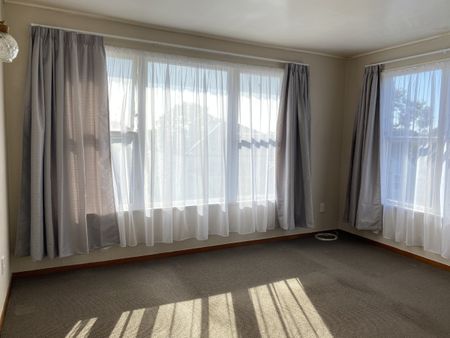 Tidy unit close to Napier CBD - Photo 3