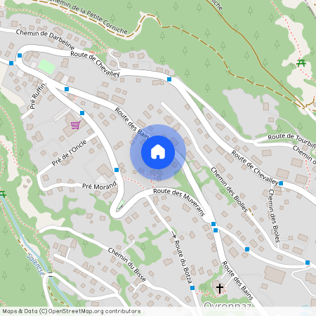 Route des Bains 34, 1911 Ovronnaz