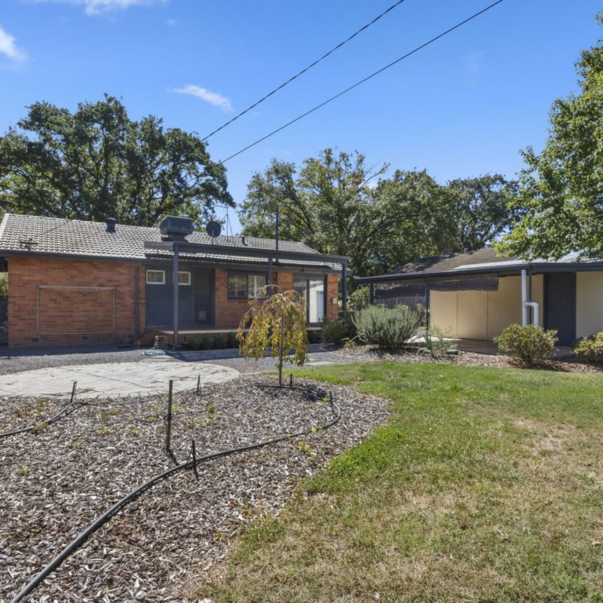 Discover Downer: Where Serene Suburban Living Meets Urban Convenience! - Photo 1