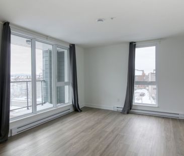 9675 Av. Papineau, app.402, H2B 3C8, H2B 3C8, Montréal - Photo 5