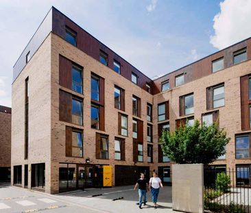 Bronze Ensuite - Photo 6