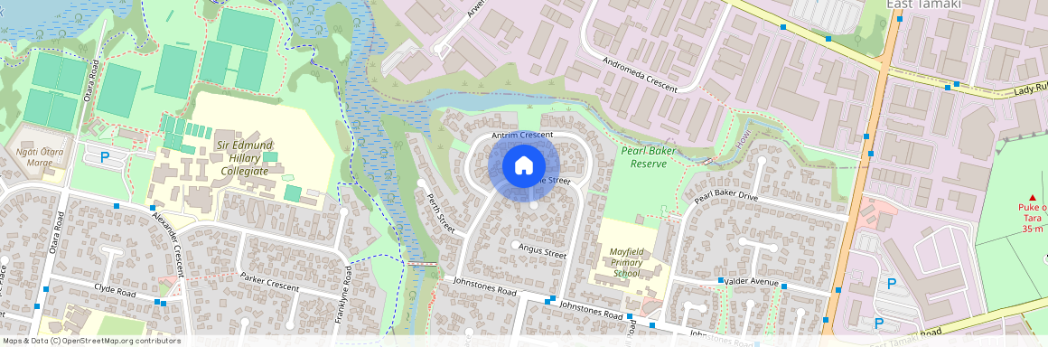 39 Tyrone Street, Otara, Manukau City