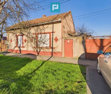 Teren de inchiriat pe 6 Vanatori - Fotografie 2