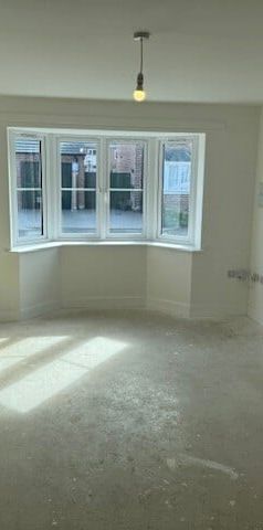 Delamore Drive - Photo 2