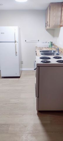 For Lease - 22 Buena Vista Avenue Unit# Lower unit, Toronto, Ontario - Photo 2