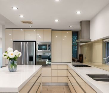 Stylish Contemporary Family Living in Cremorne - Photo 6