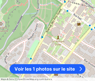 The Horizon Tower | 1212 avenue des Pins Ouest, Montreal · 4 ch. - Photo 1
