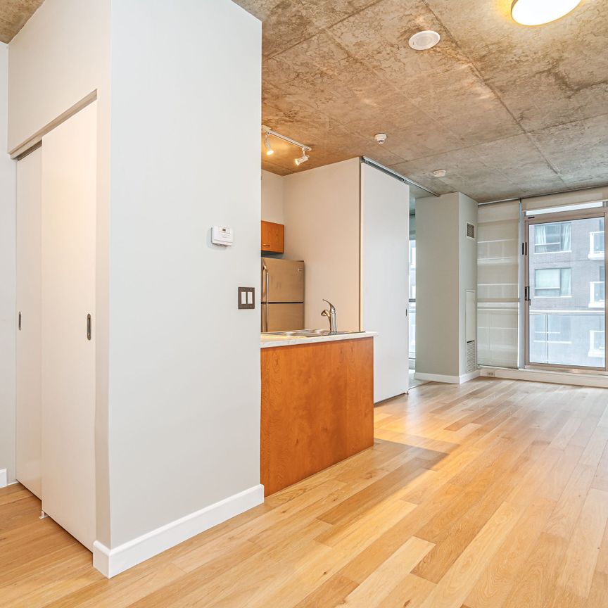 For Lease - 179 George Street Unit# 505, Lower Town - Sandy Hill, Ontario - Photo 1