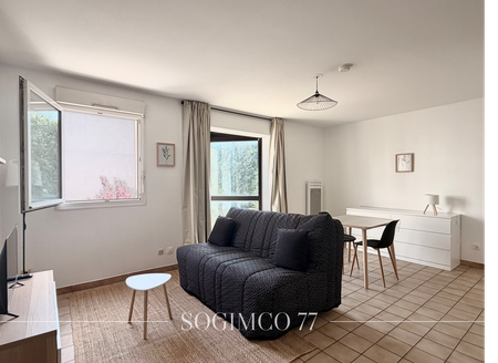 Location Appartement 1 pièce 29m² LAGNY SUR MARNE 77400 - Photo 3