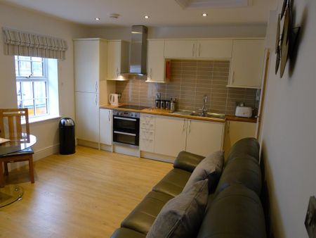 1 bedroom serviced apartment to rent - Photo 3
