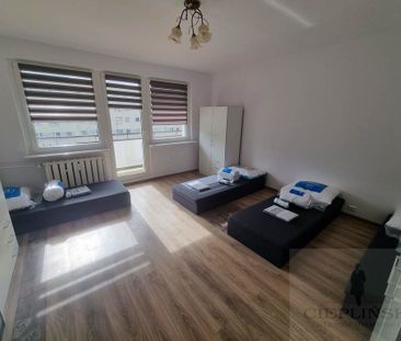 Szczecin, Kasztanowe - Zdjęcie 1