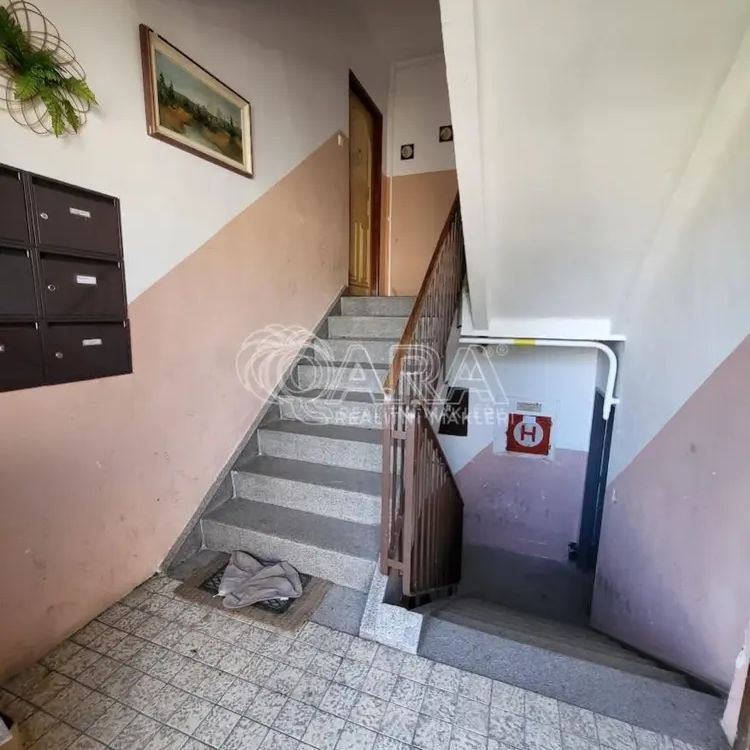 Pronájem, byt 2+1+B, ul. Stromořadí, Dobřany - Fotografie 1