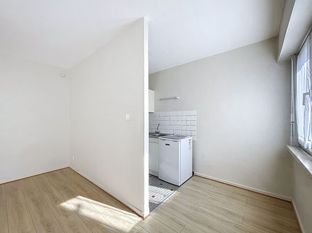 Location Appartement 1 pièce 30m² - Photo 3