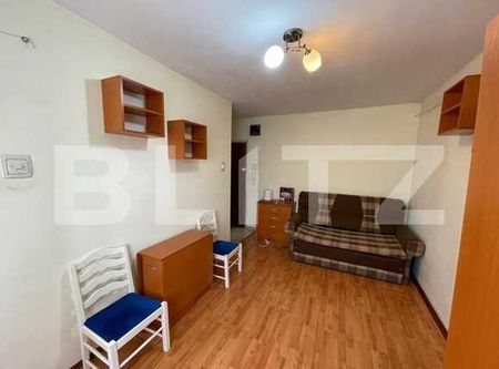 1 camera, Pet Friendly, semidecomandat, 25 mp, zona Iulius Mall - Fotografie 4
