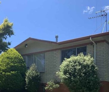 Sitting High on Highland - Photo 2