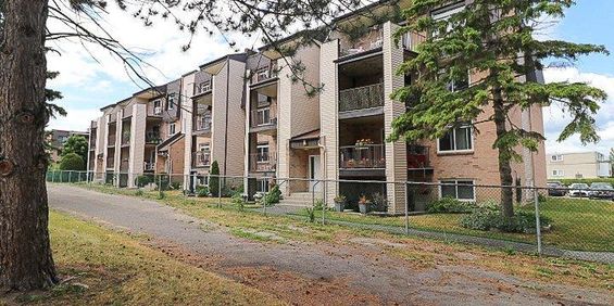 Condo 2 Ch Spacieux / Spacious 2-bed - Photo 3