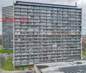 Ruim appartement met zuid-gericht terras - Foto 6