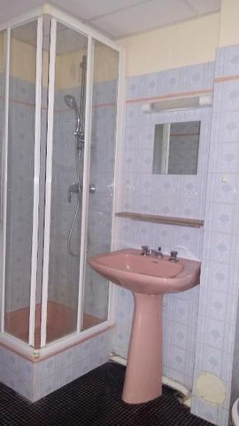 Location Appartement 1 pièce 25m² CHAMBRAY LES TOURS 37170 - Photo 2