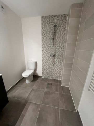 Location Appartement 1 pièce 28m² ST JORY 31790 - Photo 3